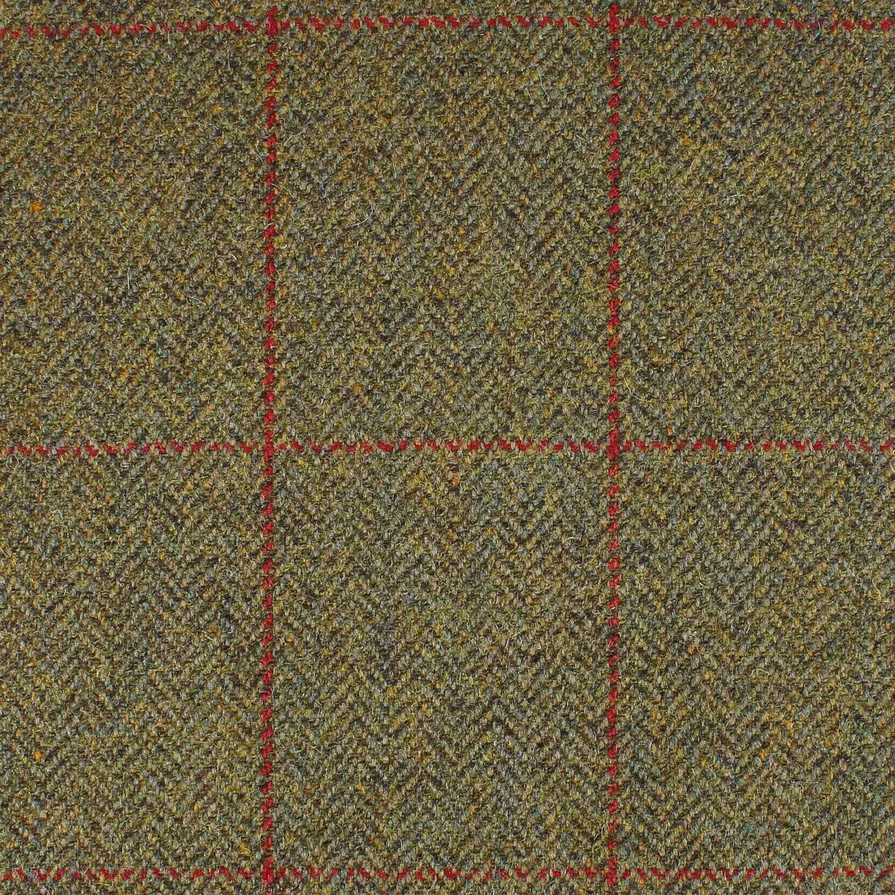 Yorkshire Tweed - Buckle Fastening Luxury Tweed Dog Collar