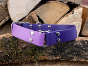 Collared Creatures Violet & Amethyst Multicolour Waterproof Biothane Dog Collar Handmade in Yorkshire