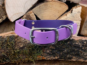 Collared Creatures Violet & Amethyst Multicolour Waterproof Biothane Dog Collar Handmade in Yorkshire