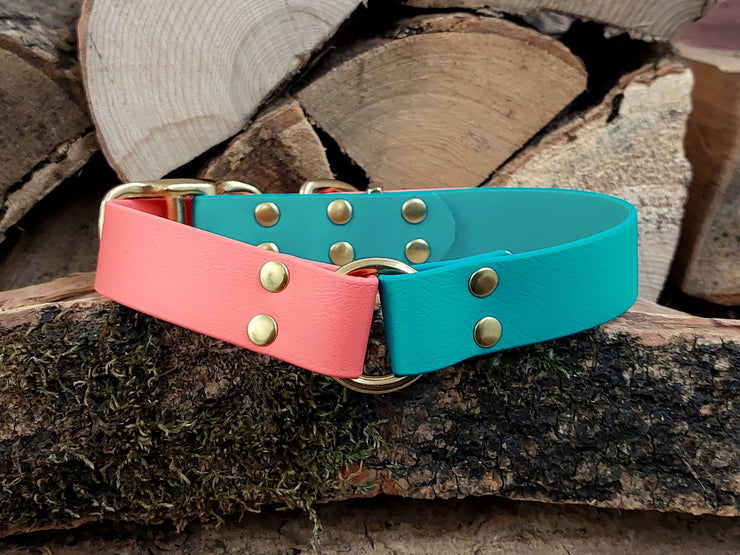 Collared Creatures Teal & Coral Multicolour Waterproof Biothane Dog Collar Handmade in Yorkshire
