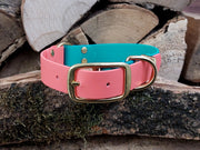 Collared Creatures Teal & Coral Multicolour Waterproof Biothane Dog Collar Handmade in Yorkshire