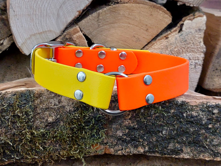 Collared Creatures Neon Orange & Yellow Multicolour Waterproof Biothane Dog Collar Handmade in Yorkshire