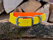 Collared Creatures Neon Orange & Yellow Multicolour Waterproof Biothane Dog Collar Handmade in Yorkshire