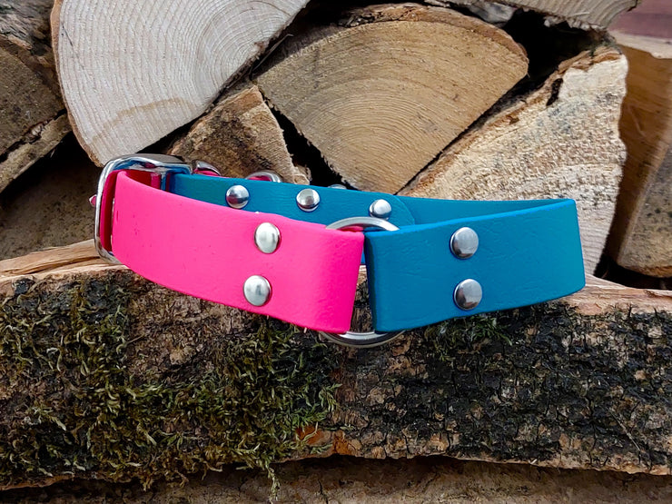 Turquoise & Fuchsia Multicolour Waterproof Biothane Dog Collar