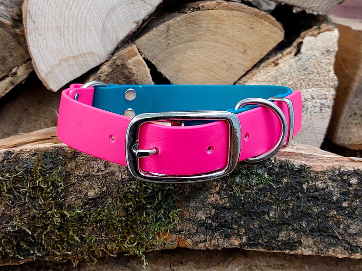 Turquoise & Fuchsia Multicolour Waterproof Biothane Dog Collar