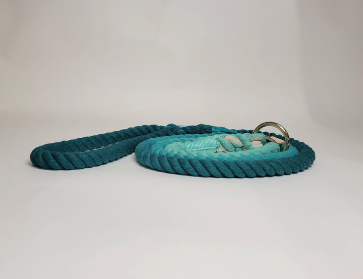 Teal Ombre Dip Dyed Dog lead/collared creatures