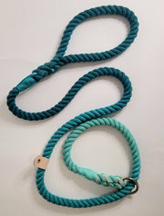 Teal Ombre Dip Dyed Dog lead/collared creatures