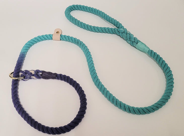 Mint & Purple  Ombre Dip Dyed Dog lead
