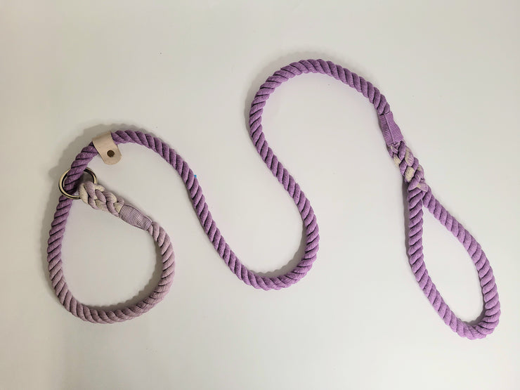 Lilac Ombre Dip Dyed Dog lead/collared creatures