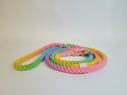 Summer Pastel Ombre Dip Dyed Dog lead/collared creatures