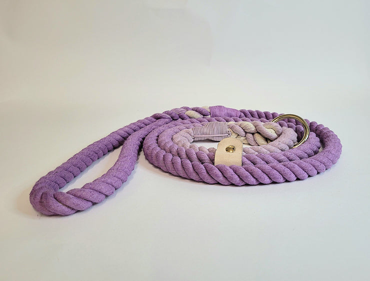 Lilac Ombre Dip Dyed Dog lead/collared creatures