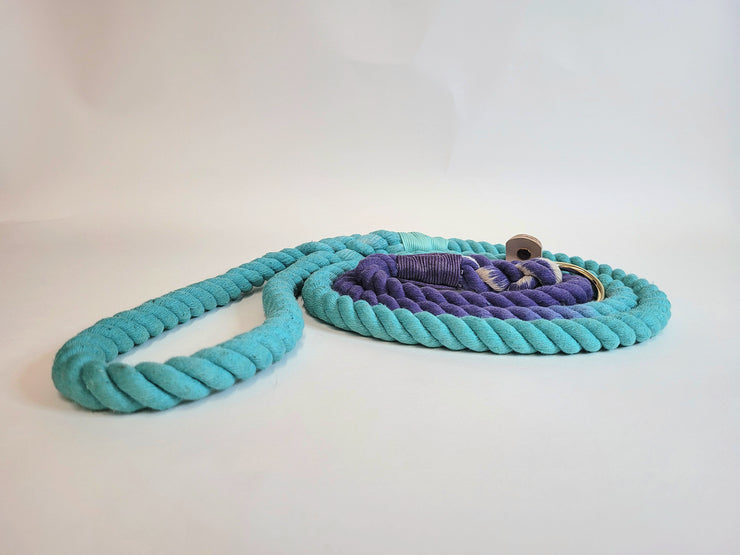 Mint & Purple Ombre Dip Dyed Dog lead/collared creatures