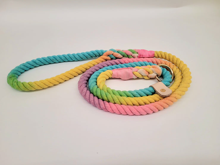 Summer Pastel Ombre Dip Dyed Dog lead