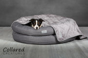 Grey Luxury Quilted Dog Blanket - Sofa Throw draped over a collie in a Collared Creatures dog bed