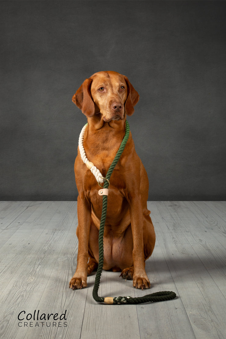 Green Ombre Dip Dyed Dog lead - Collared Creatures