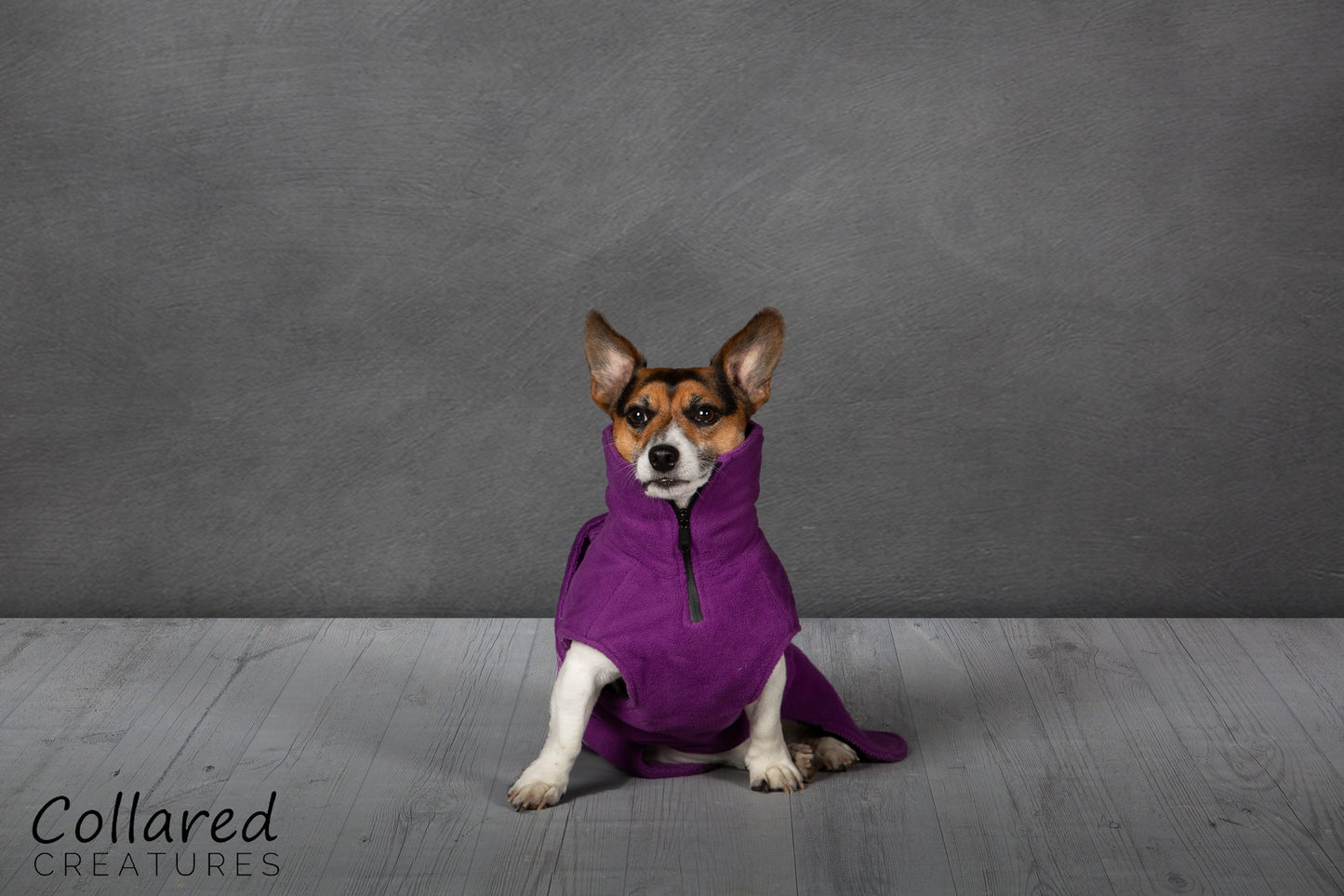 Magenta Perfectly Practical Dog Drying Coat - Collared Creatures