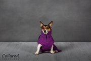 Magenta Perfectly Practical Dog Drying Coat - Collared Creatures