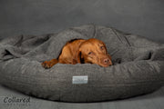 Grey Classic Comfort Cocoon Dog Bed (cushion base) - Collared Creatures