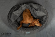 Grey Classic Comfort Cocoon Dog Bed (cushion base) - Collared Creatures