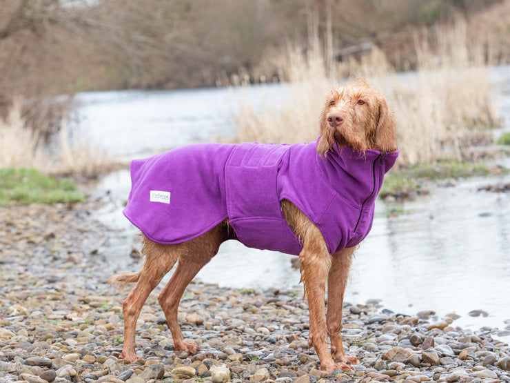 Magenta Perfectly Practical Dog Drying Coat - Collared Creatures