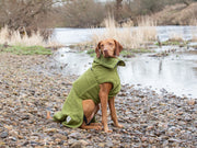 Green Perfectly Practical Dog Drying Coat - Collared Creatures