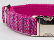 Collared Creatures Pink Koana Harris Tweed Luxury Gog Collar