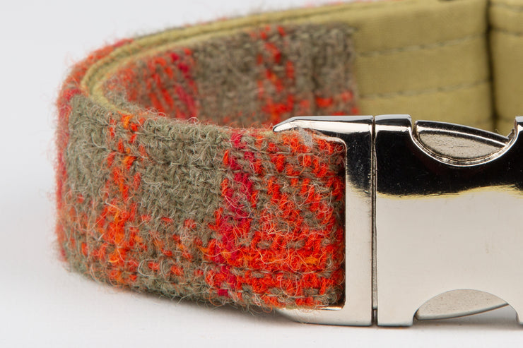 Orange And Olive Check Harris Tweed Luxury Dog Collar - Collared Creatures