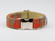 Orange And Olive Check Harris Tweed Luxury Dog Collar - Collared Creatures