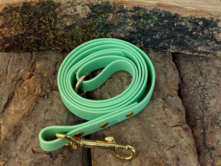 Apple Green Waterproof Biothane Dog Lead