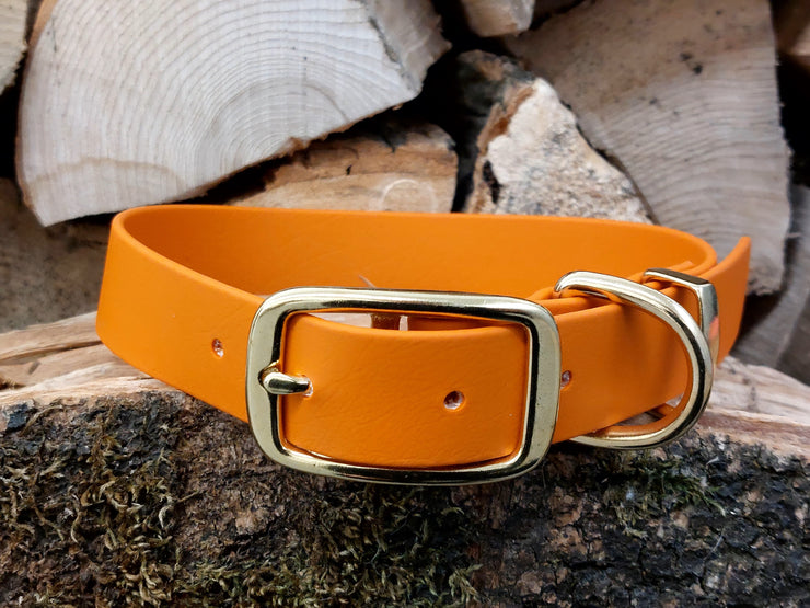Collared Creatures Burnt Orange Waterproof Biothane Dog Collar Collared Creatures ...