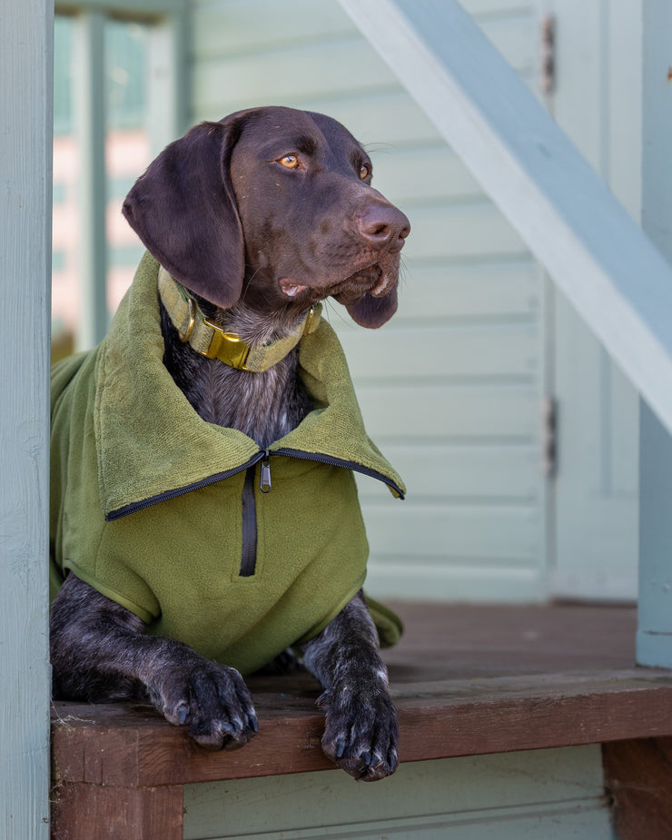 Green Superior Perfectly Practical Dog Drying Coat