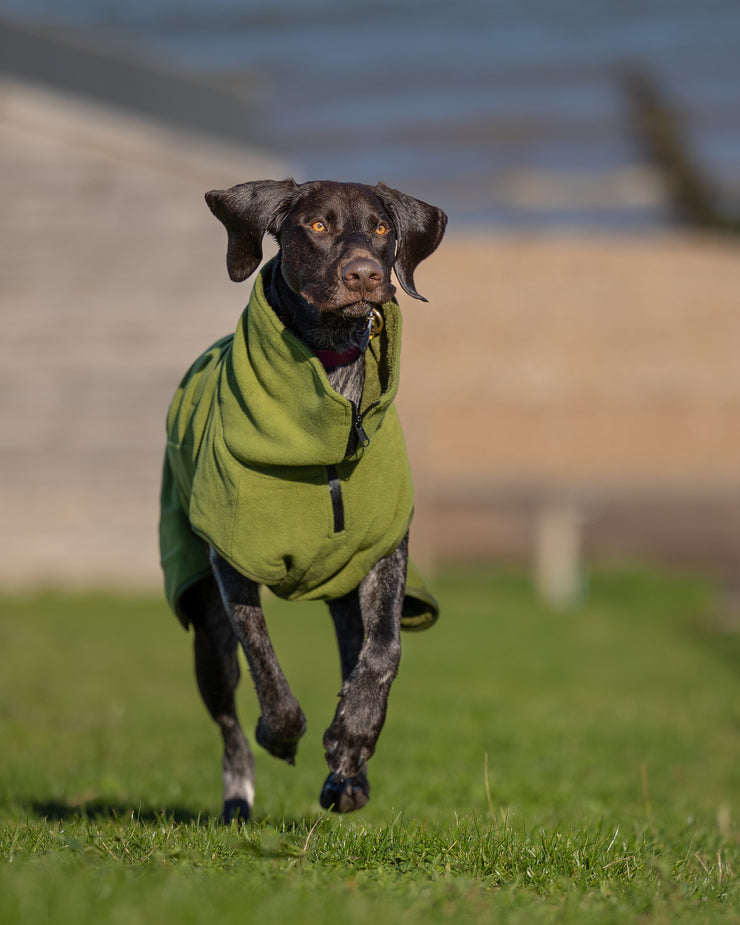 Green Superior Perfectly Practical Dog Drying Coat