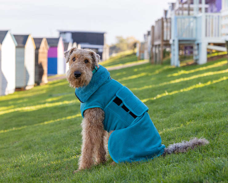 Teal Superior Perfectly Practical Dog Drying Coat