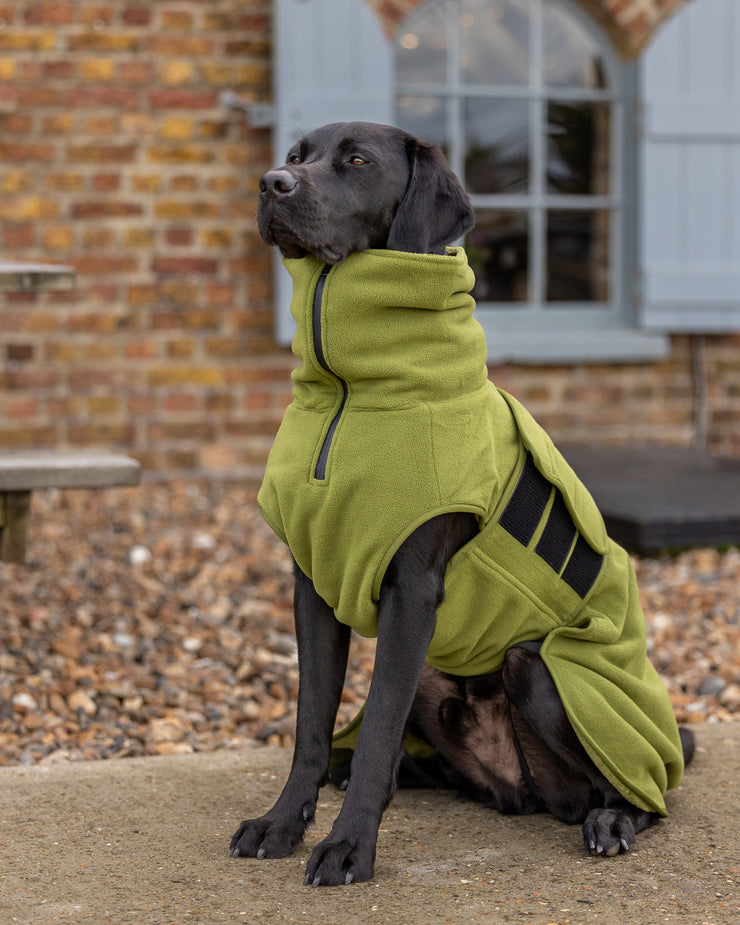 Green Superior Perfectly Practical Dog Drying Coat