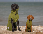 Green Superior Perfectly Practical Dog Drying Coat