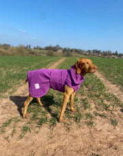 Magenta  Superior Perfectly Practical Dog Drying Coat