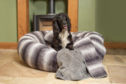 black and white Spaniel sat in a Collared Creatures luxury grey faux fur donut dog bed with a matching grey faux fur dog blanket - sofa throw on the front of the bed