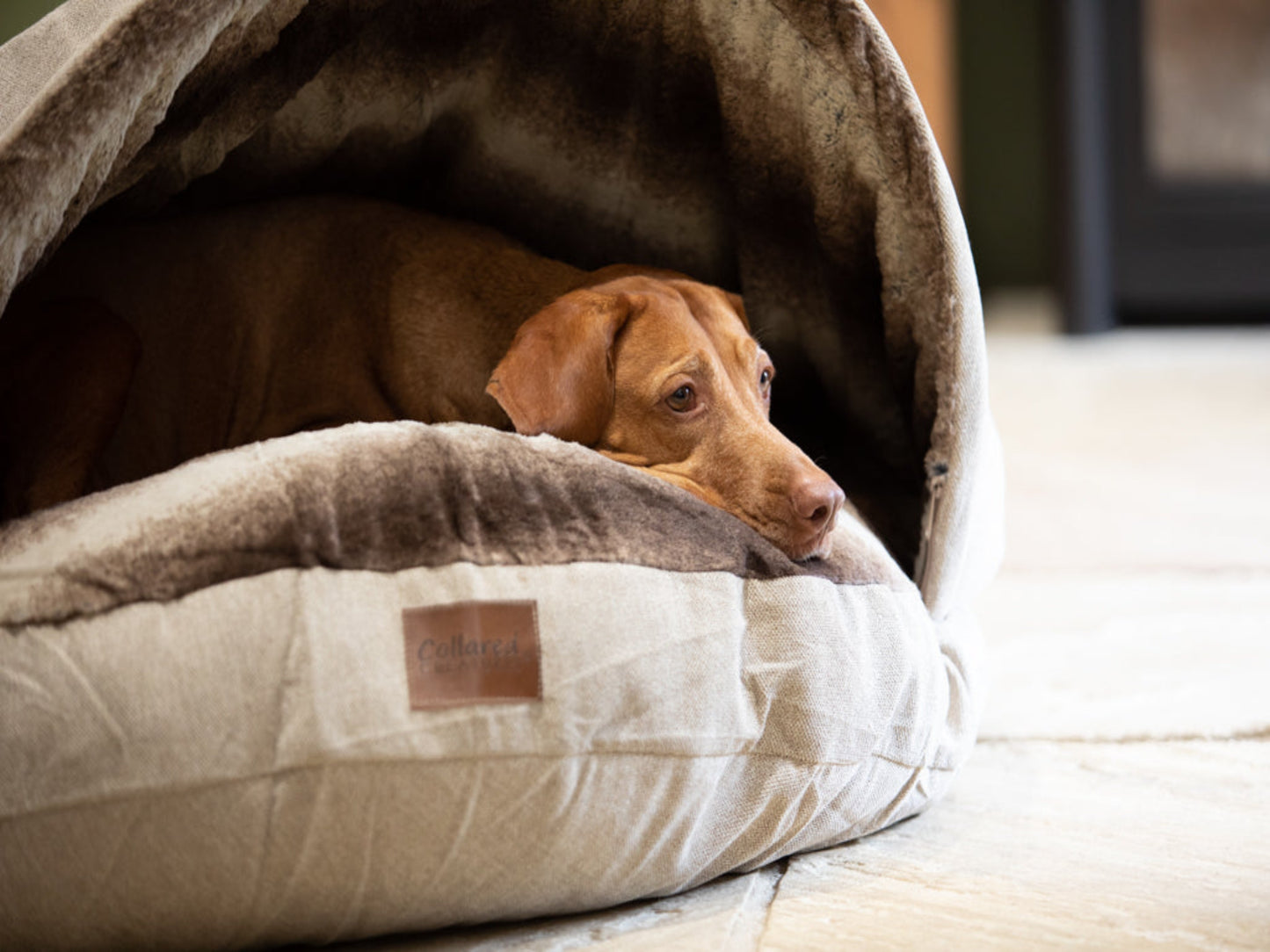 Collared Creatures Cave Bed Beige Replacement Outer Cover