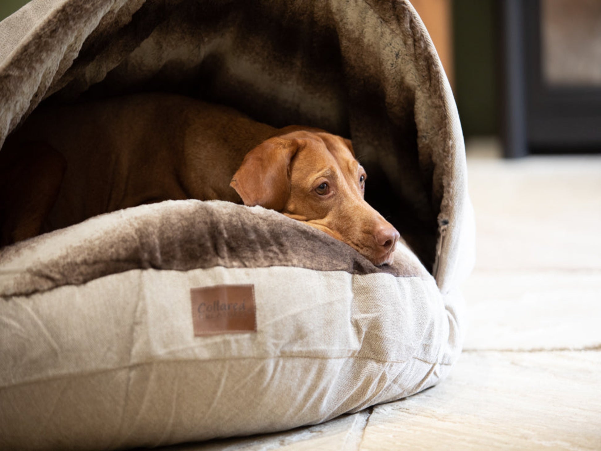 Collared Creatures Cave Bed Beige Replacement Outer Cover