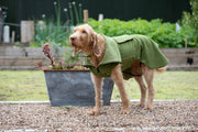 Green Perfectly Practical Dog Drying Coat