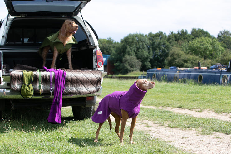 Magenta Perfectly Practical Dog Drying Coat