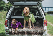 Green Perfectly Practical Dog Drying Coat