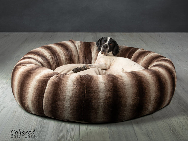 German Pointer dog looking warm and              cosy in Collared Creatures gorgeous, luxury  brown deluxe donut dog bed