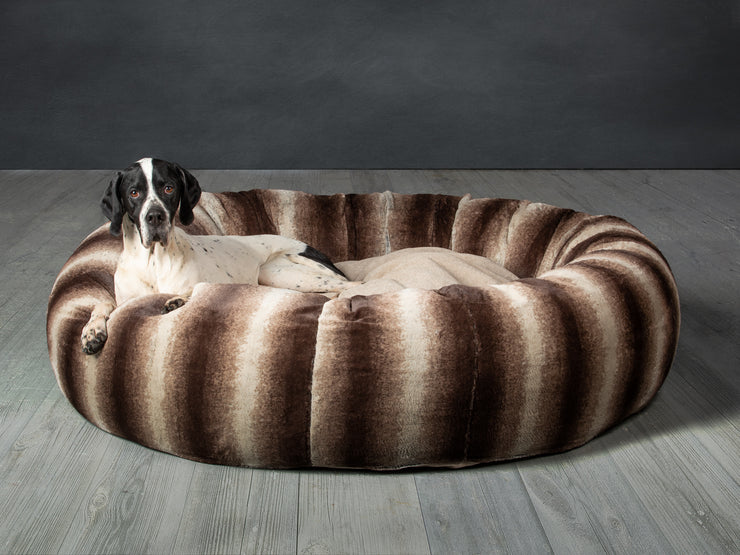 German Pointer dog looking warm and              cosy in Collared Creatures gorgeous, luxury  brown deluxe donut dog bed