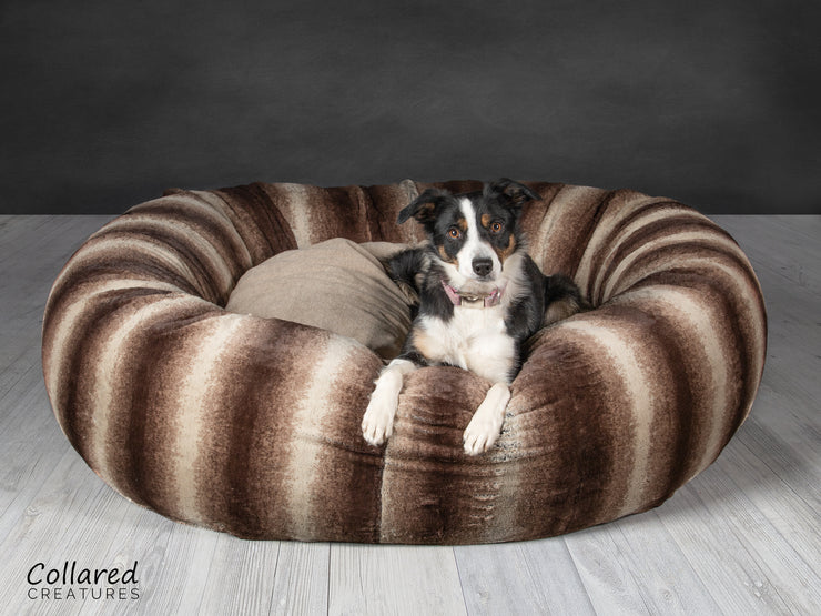 Tess who is a Collie looking warm and cosy in Collared Creatures gorgeous, luxury  brown deluxe donut dog bed