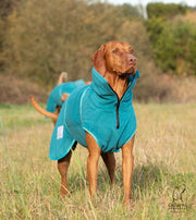 Collared Creatures Teal superior Perfectly Practical Dog Drying