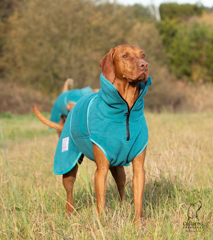 Collared Creatures Teal superior Perfectly Practical Dog Drying