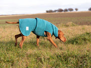 Collared Creatures Teal superior Perfectly Practical Dog Drying