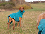 Collared Creatures Teal superior Perfectly Practical Dog Drying