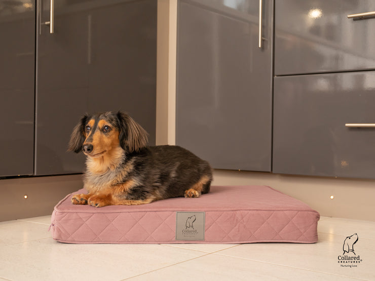 Collared Creatures Dusky Pink Velour Luxury Mattress Dog Bed